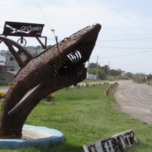 Iron Whale in Balneario el Condor